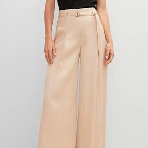 Ann Taylor Wide Leg Statement Pants NWOT!!!!!!!